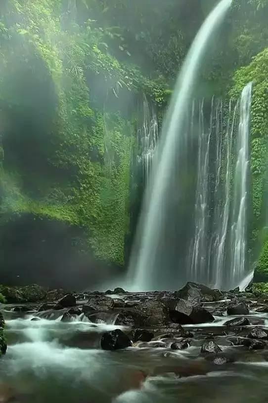 冠军射击手